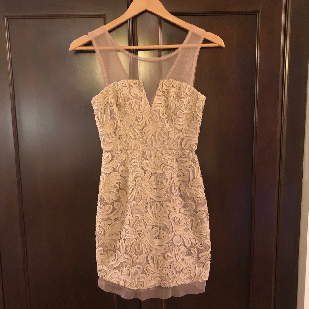 BCBG Mazria Abigail Embroidered Dress (Nude)